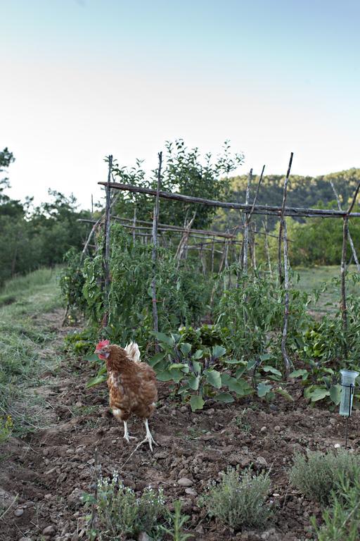 Masia Ca L'Anima La Baronia de Rialb Exterior foto