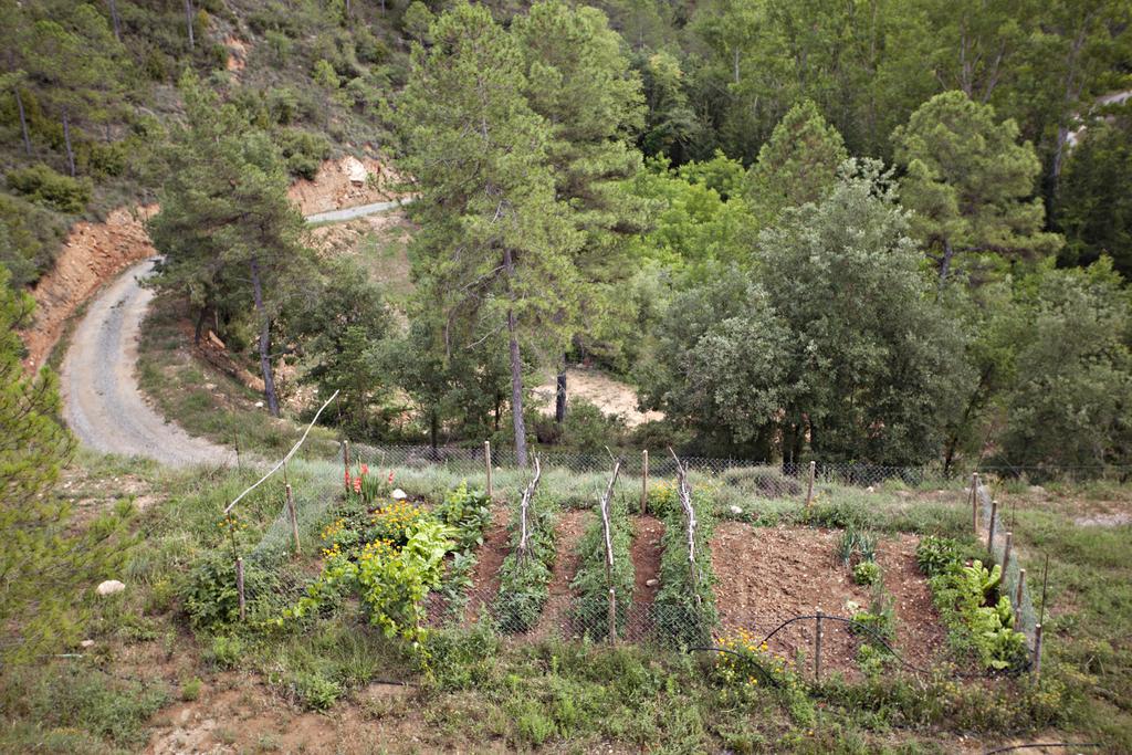 Masia Ca L'Anima La Baronia de Rialb Quarto foto