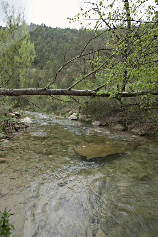 Masia Ca L'Anima La Baronia de Rialb Quarto foto