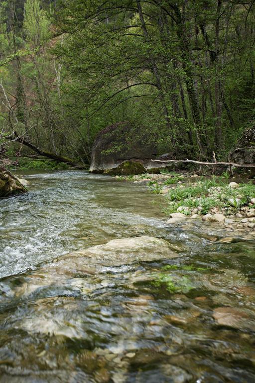 Masia Ca L'Anima La Baronia de Rialb Quarto foto